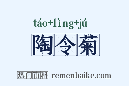 陶令菊是什么意思的图片